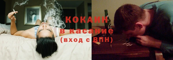 прущие грибы Волоколамск