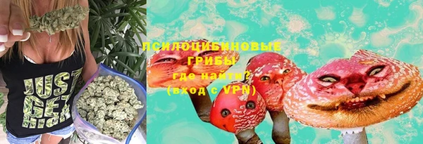 прущие грибы Волоколамск