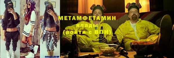 прущие грибы Волоколамск